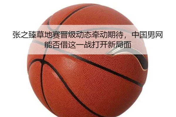 张之臻草地赛晋级动态牵动期待，中国男网能否借这一战打开新局面
